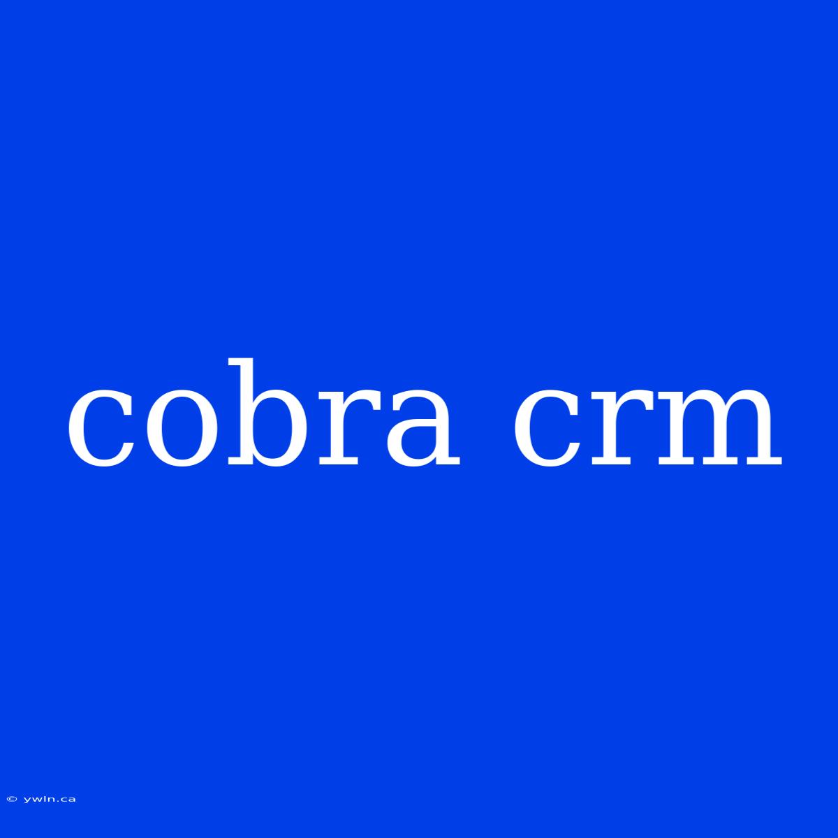 Cobra Crm