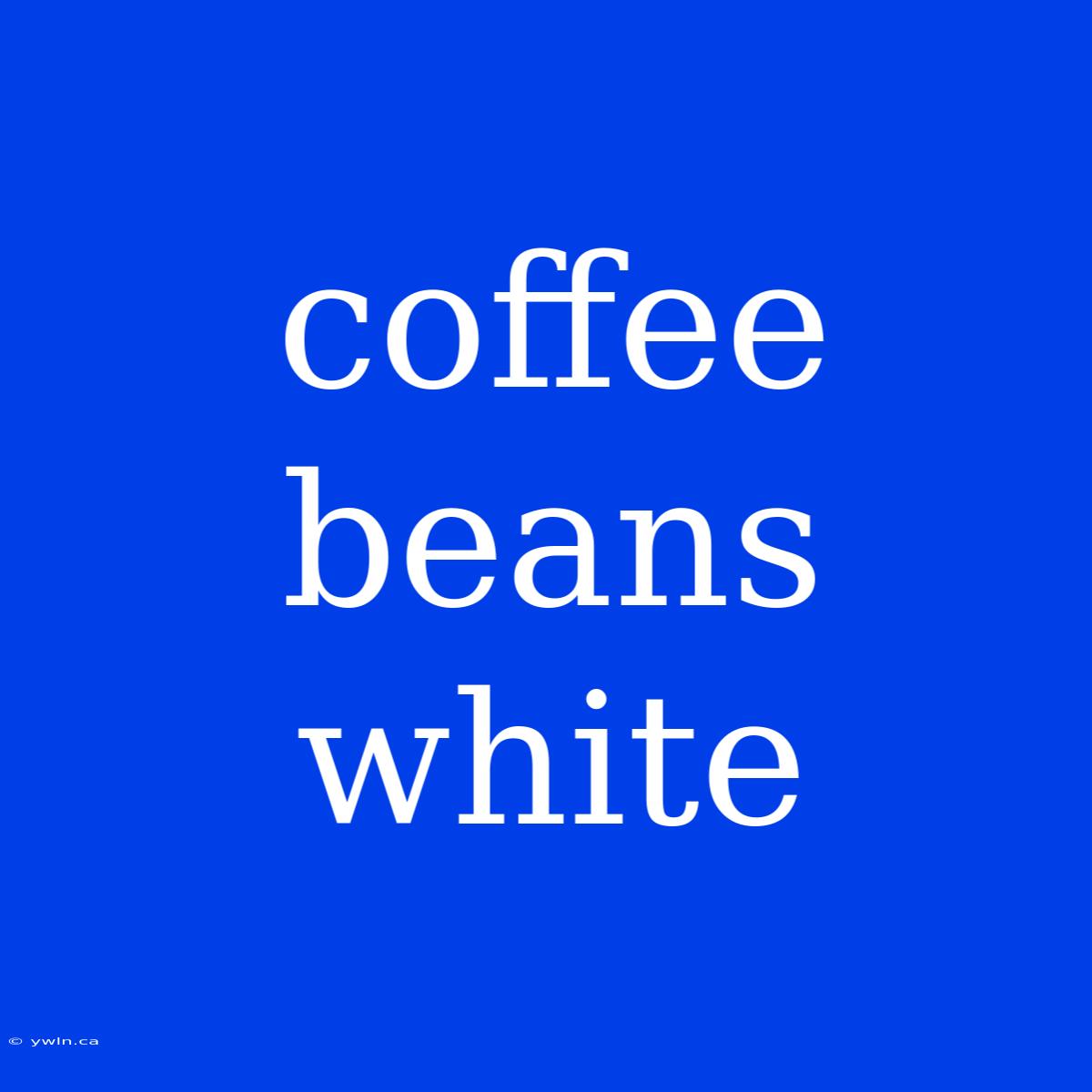 Coffee Beans White