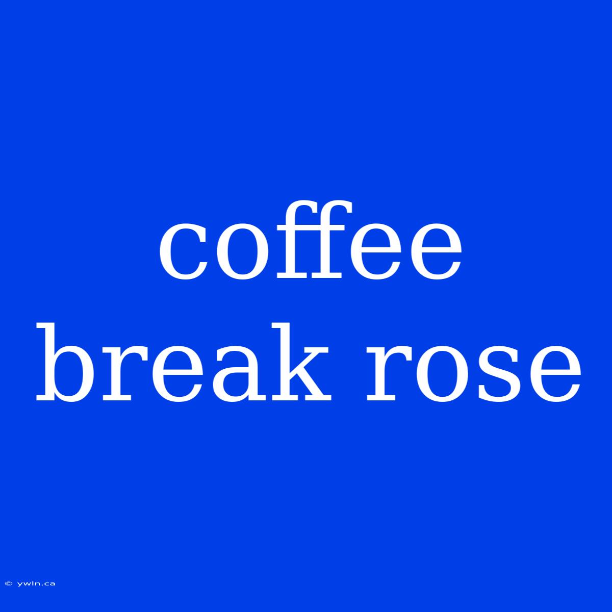 Coffee Break Rose