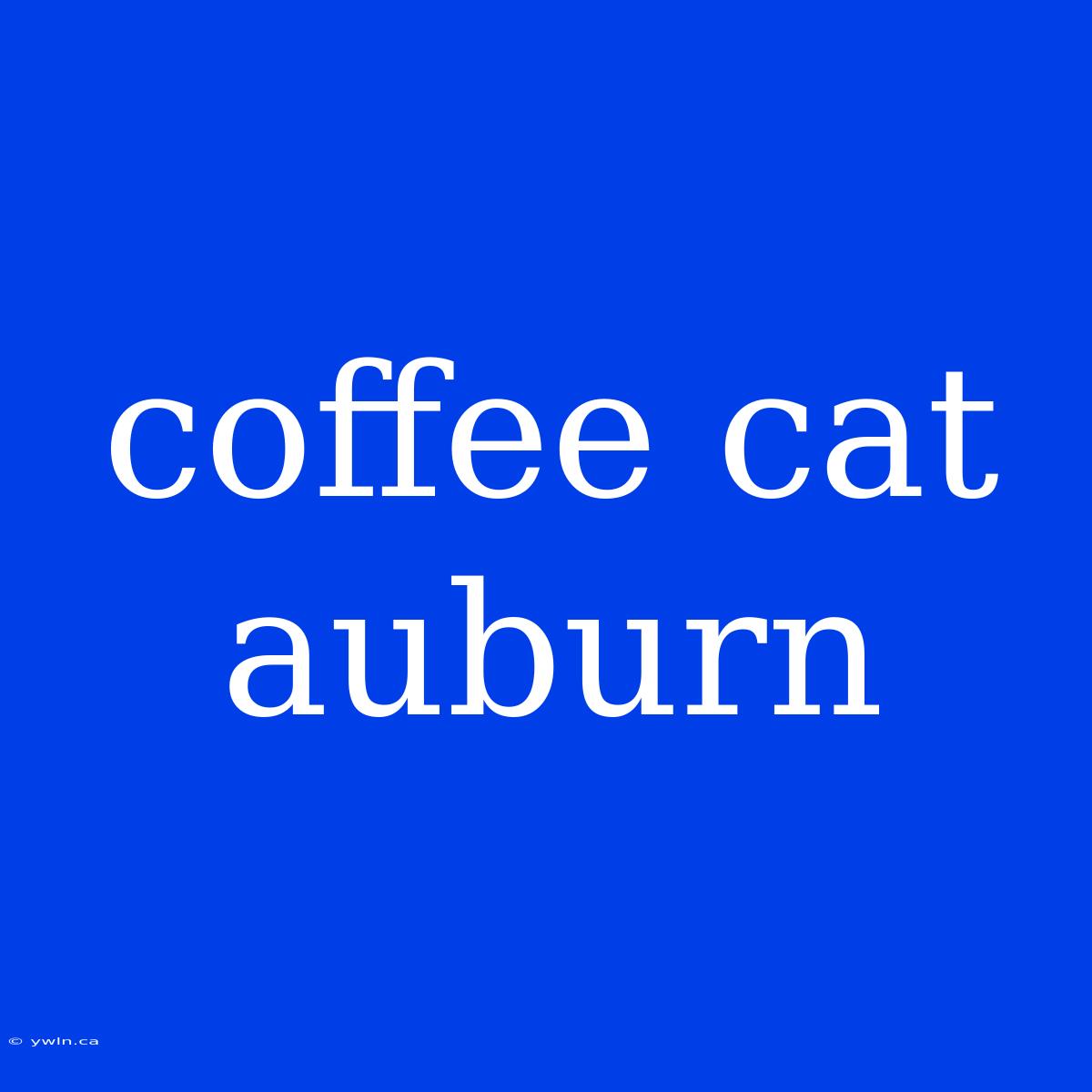 Coffee Cat Auburn