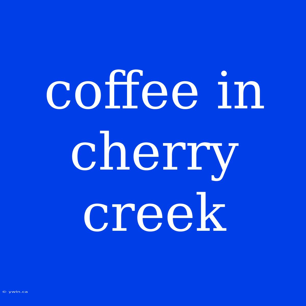 Coffee In Cherry Creek