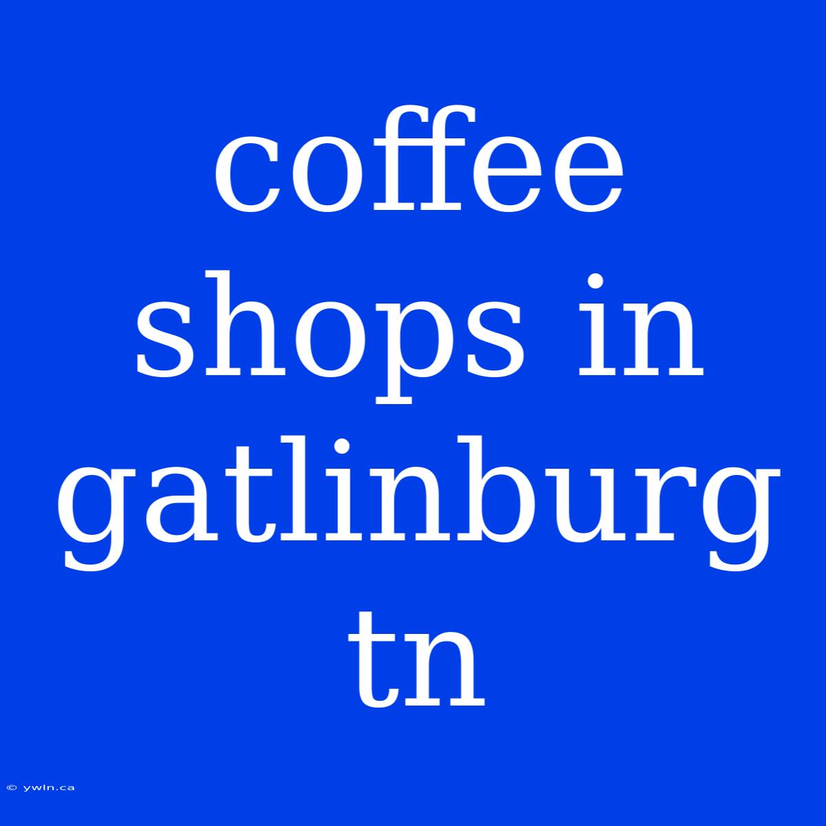 Coffee Shops In Gatlinburg Tn