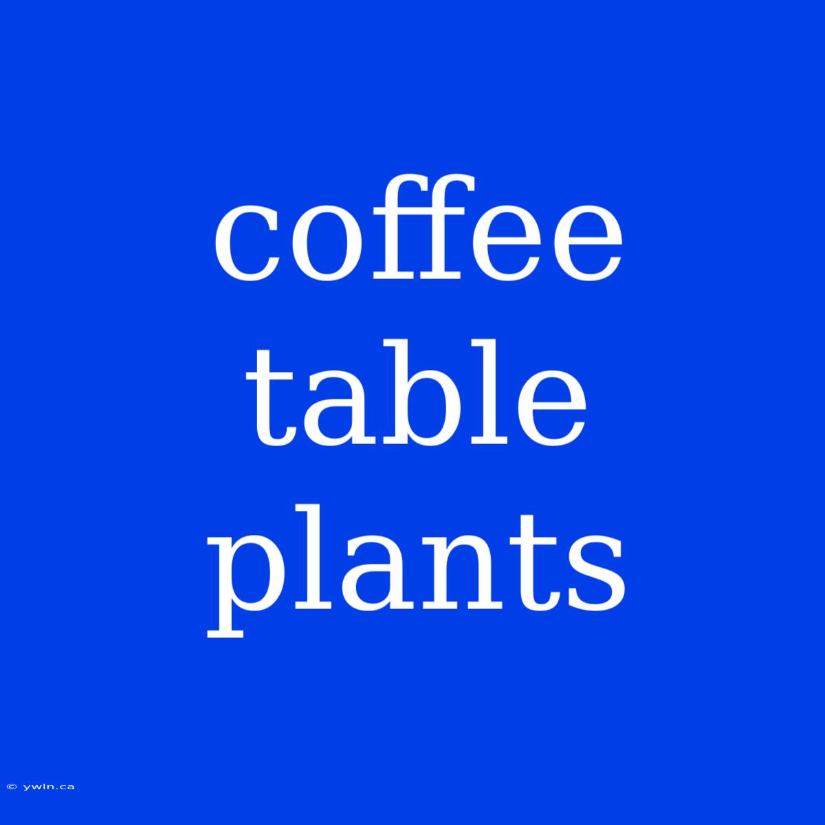 Coffee Table Plants