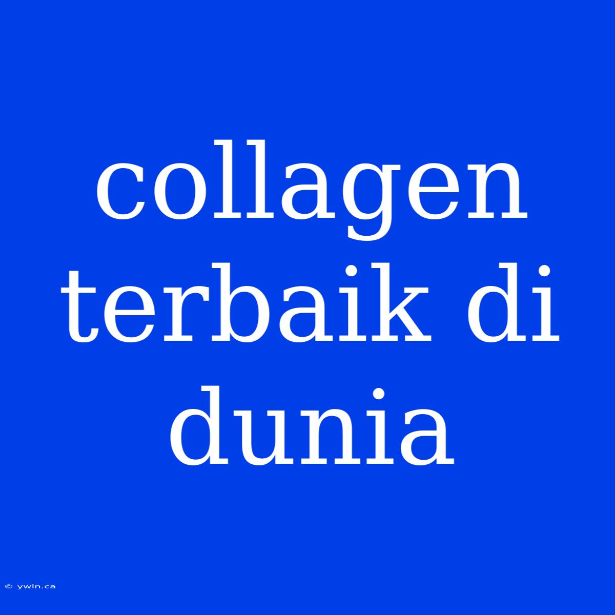 Collagen Terbaik Di Dunia