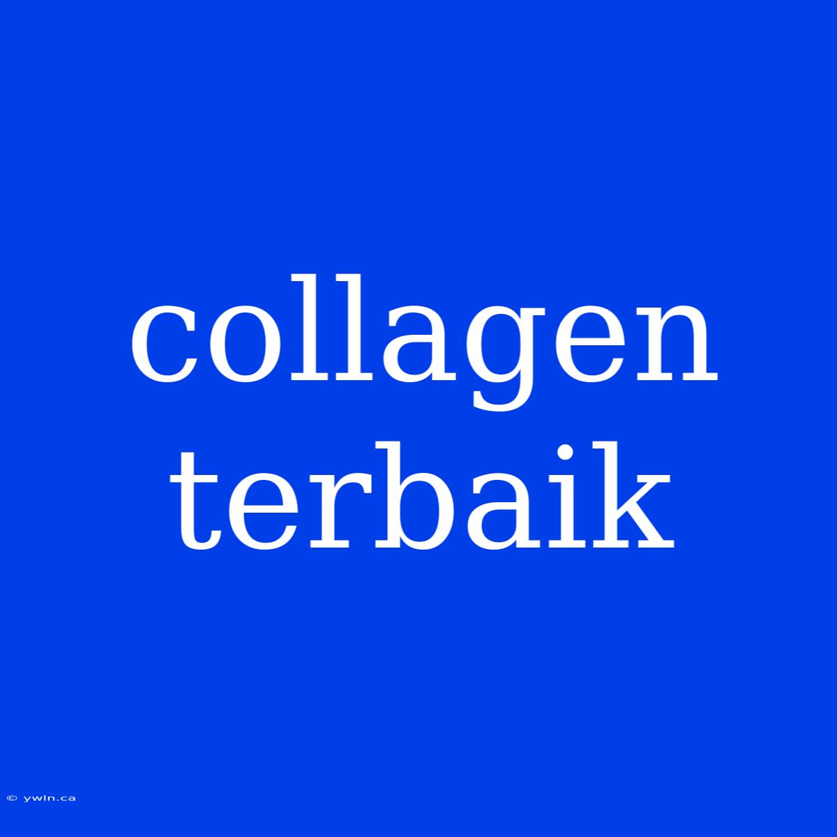 Collagen Terbaik