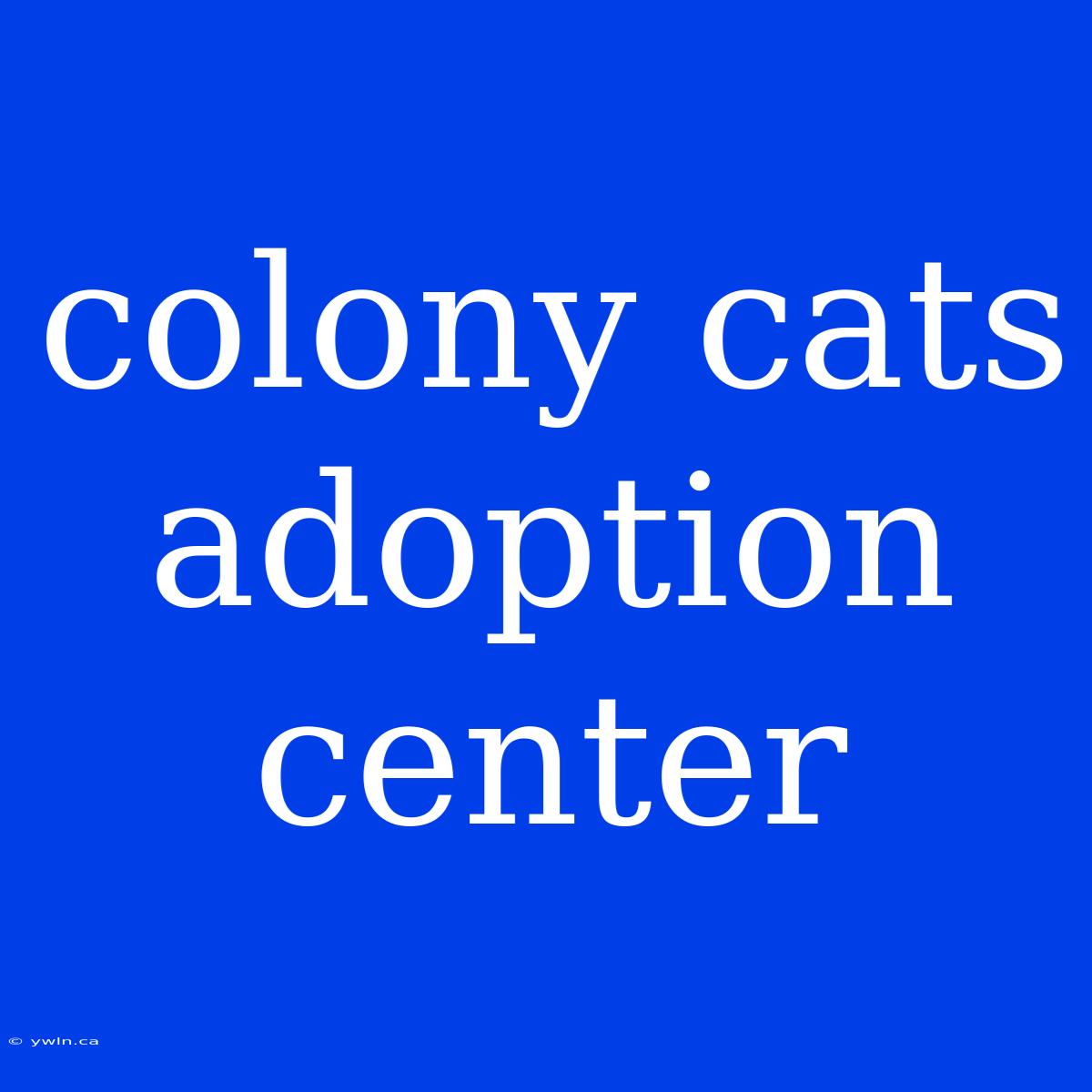 Colony Cats Adoption Center