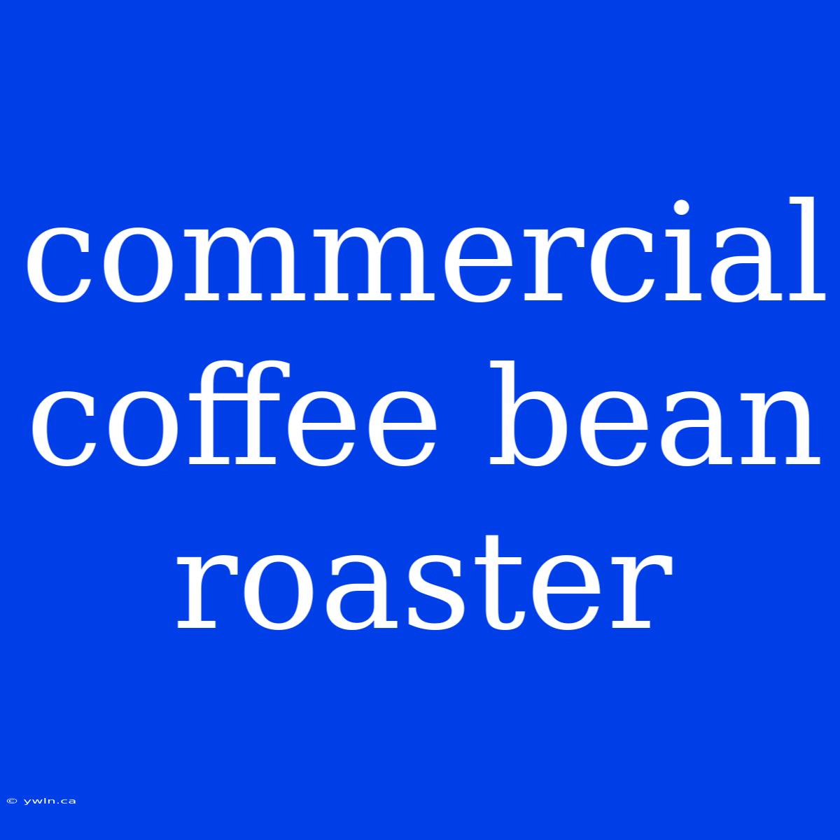 Commercial Coffee Bean Roaster