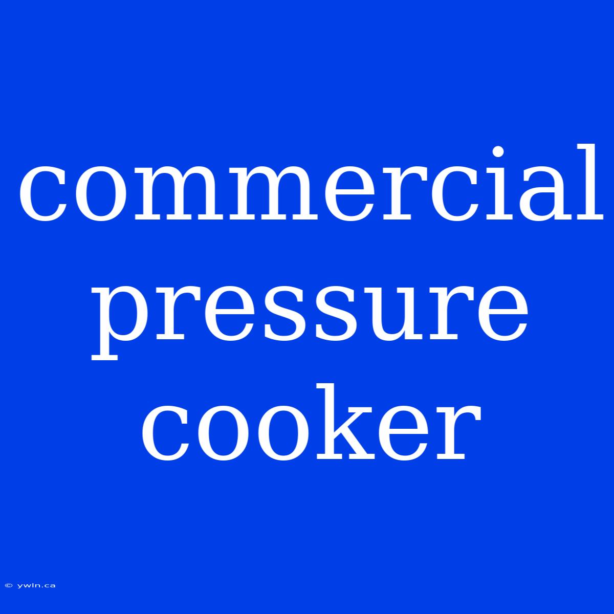 Commercial Pressure Cooker