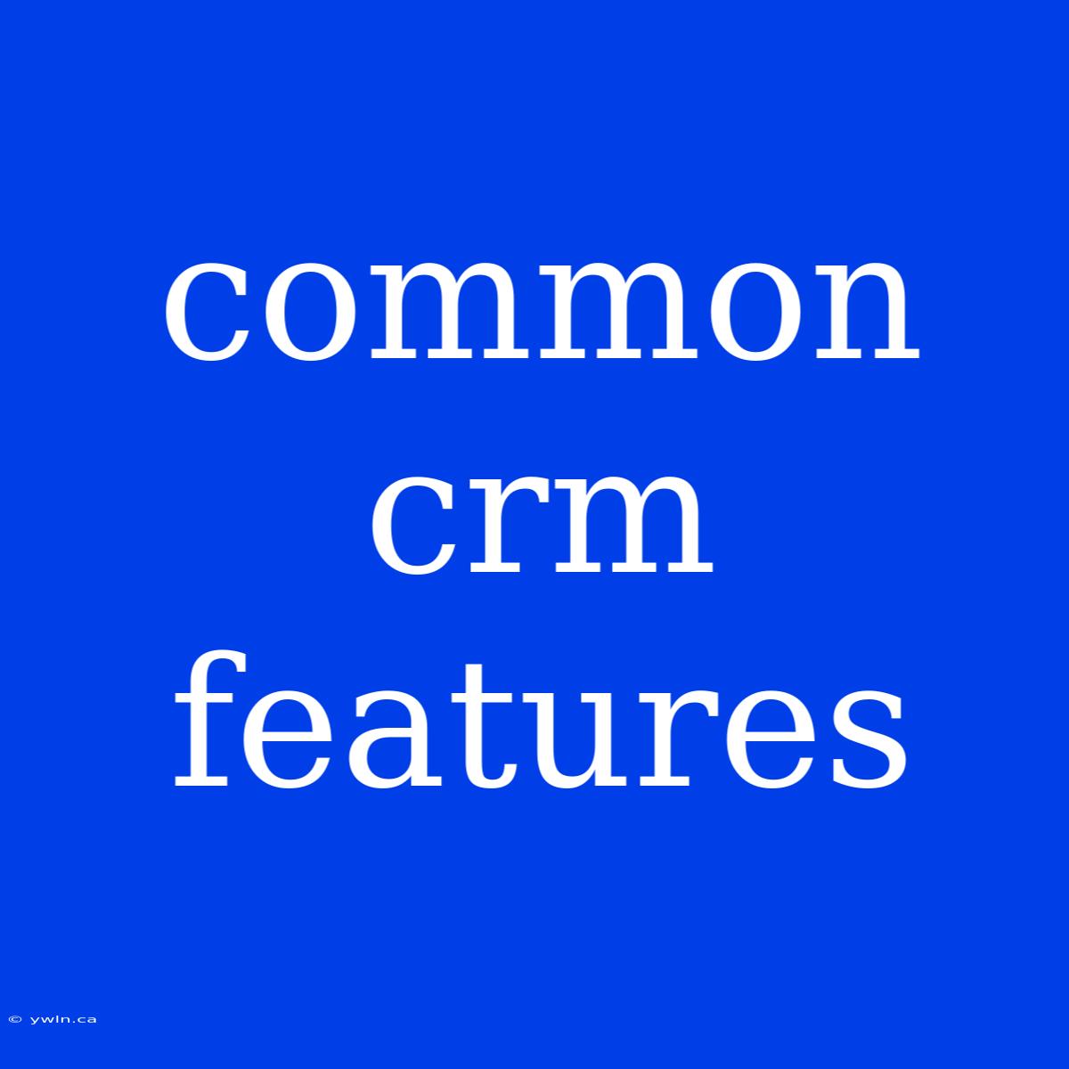 Common Crm Features