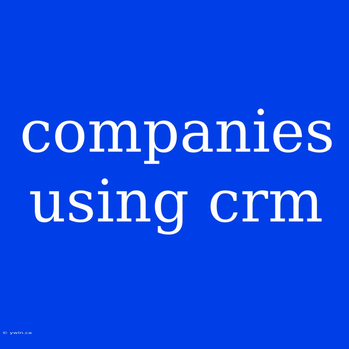 Companies Using Crm