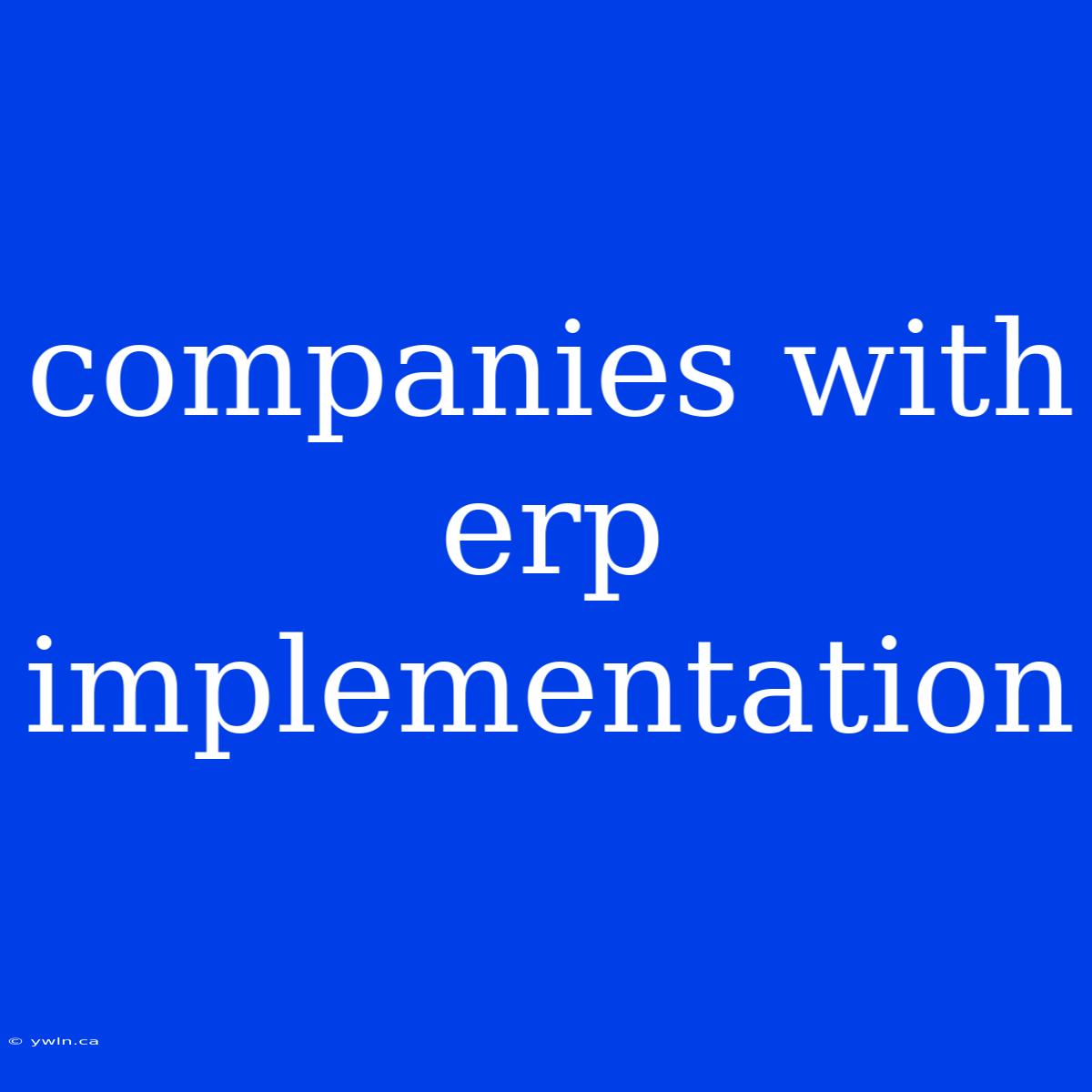 Companies With Erp Implementation