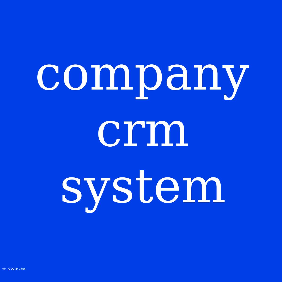 Company Crm System