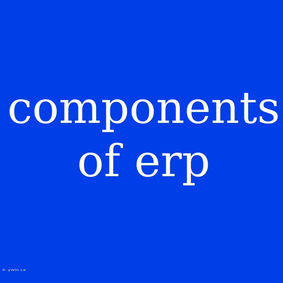 Components Of Erp