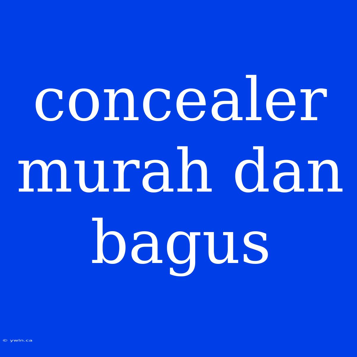 Concealer Murah Dan Bagus