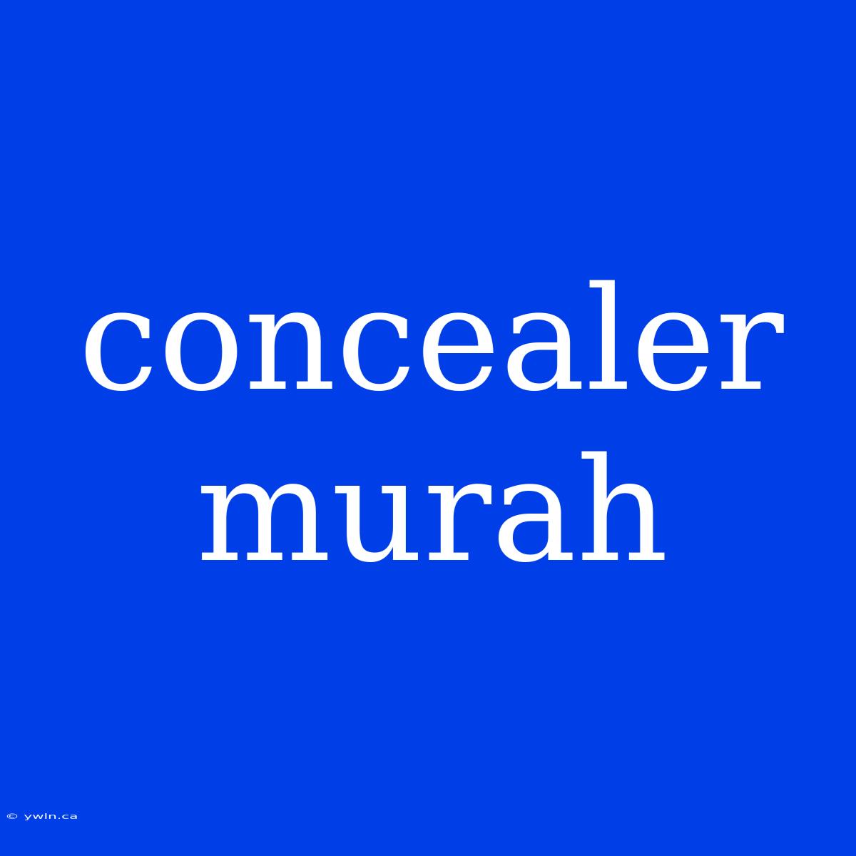 Concealer Murah