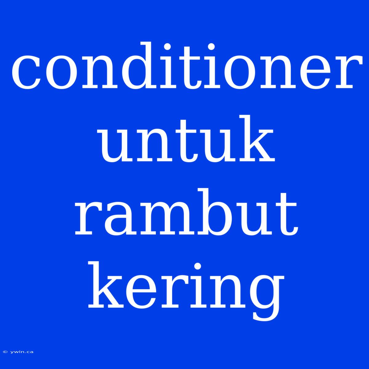 Conditioner Untuk Rambut Kering