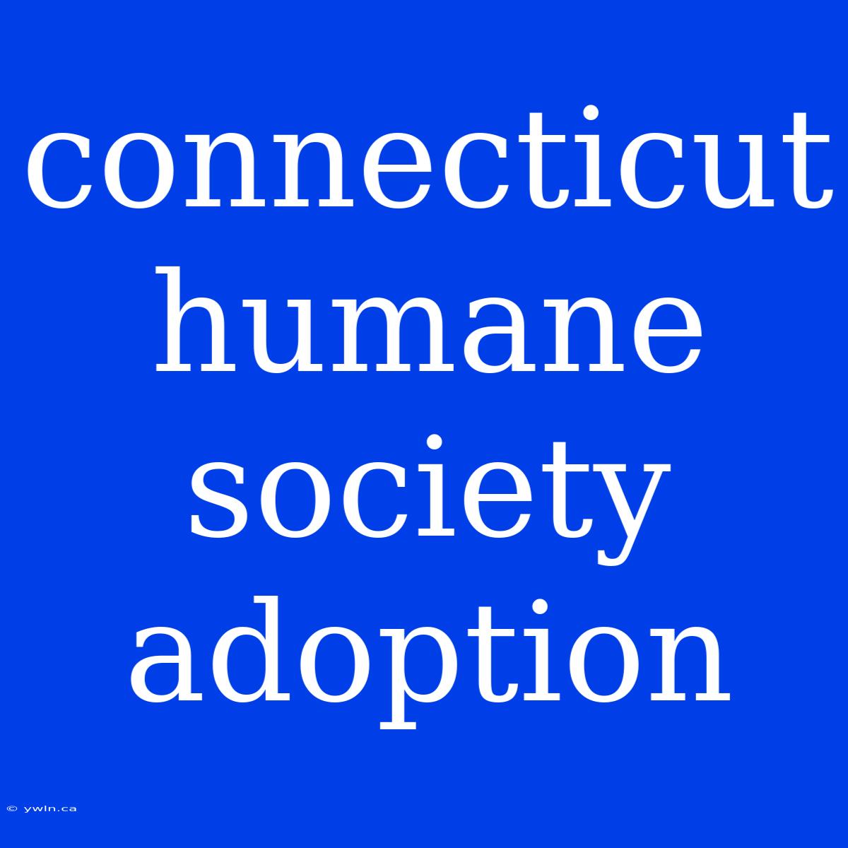 Connecticut Humane Society Adoption