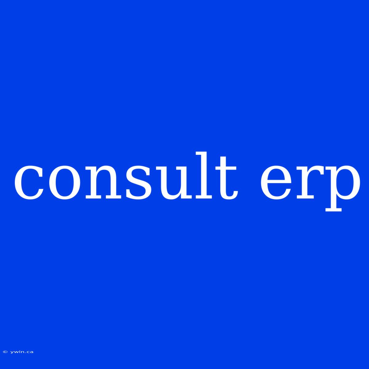 Consult Erp