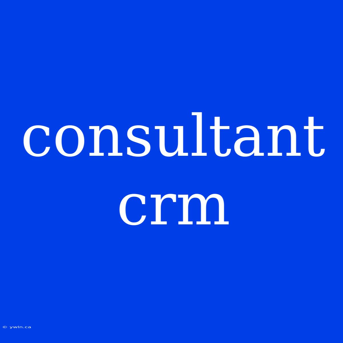 Consultant Crm