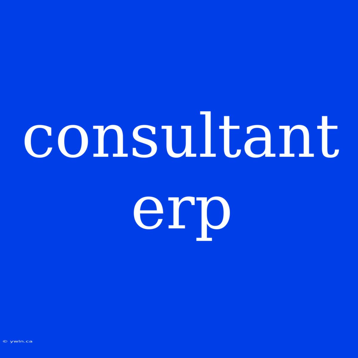 Consultant Erp