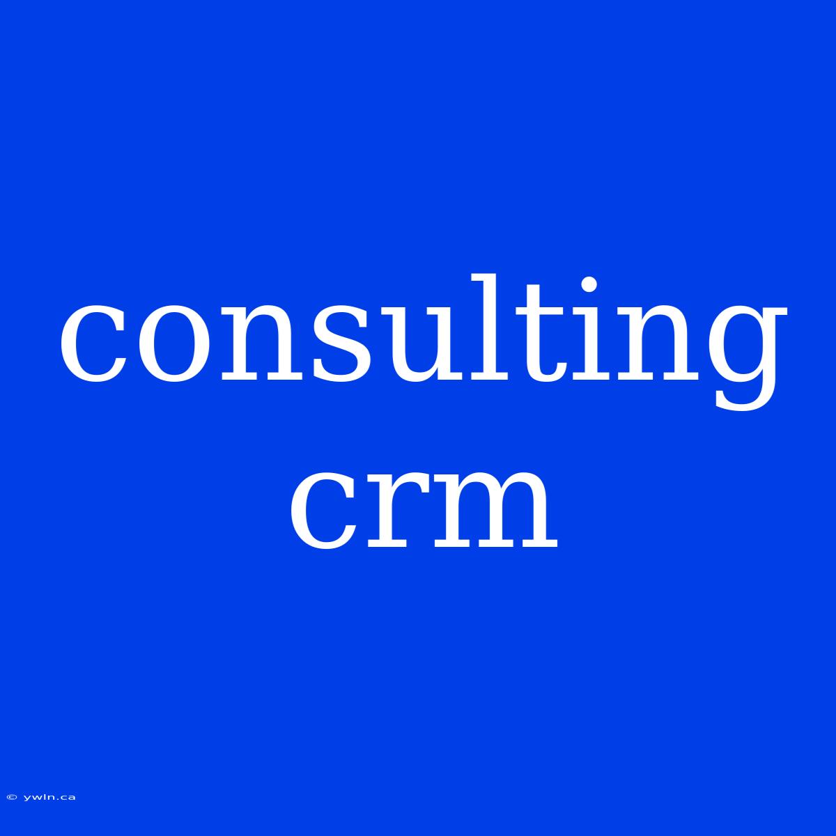 Consulting Crm