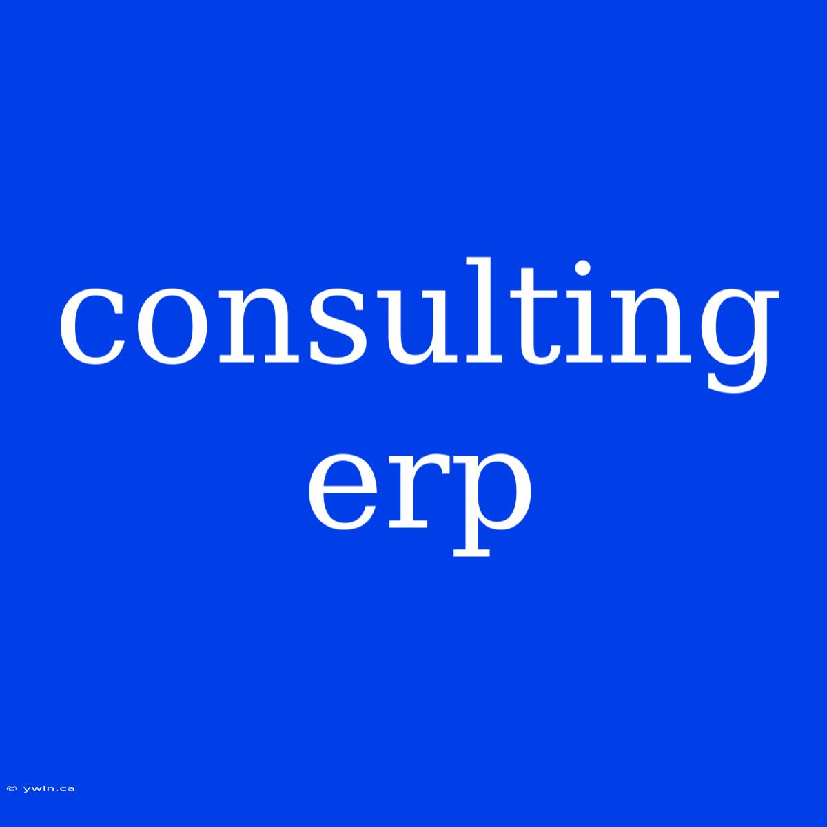 Consulting Erp