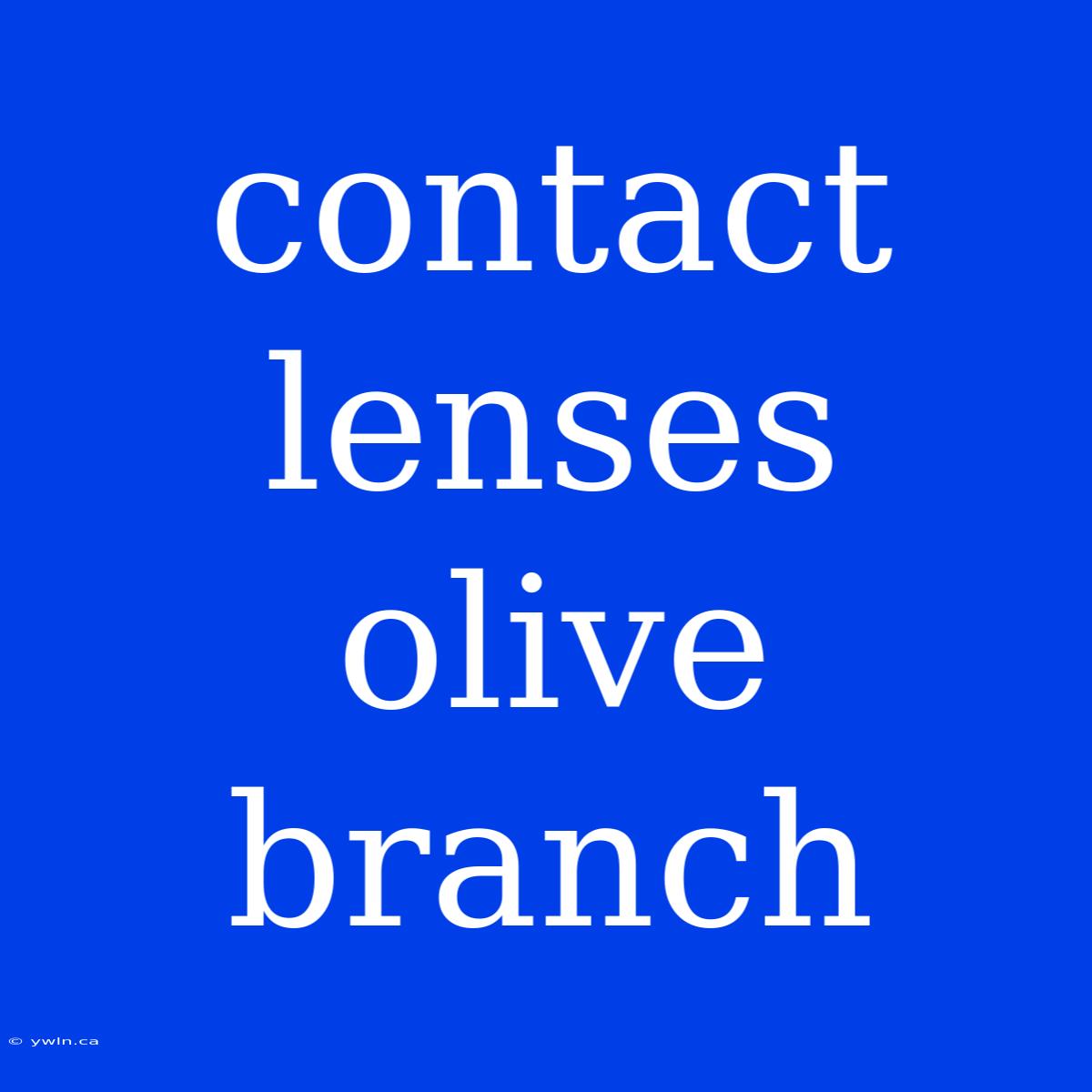 Contact Lenses Olive Branch