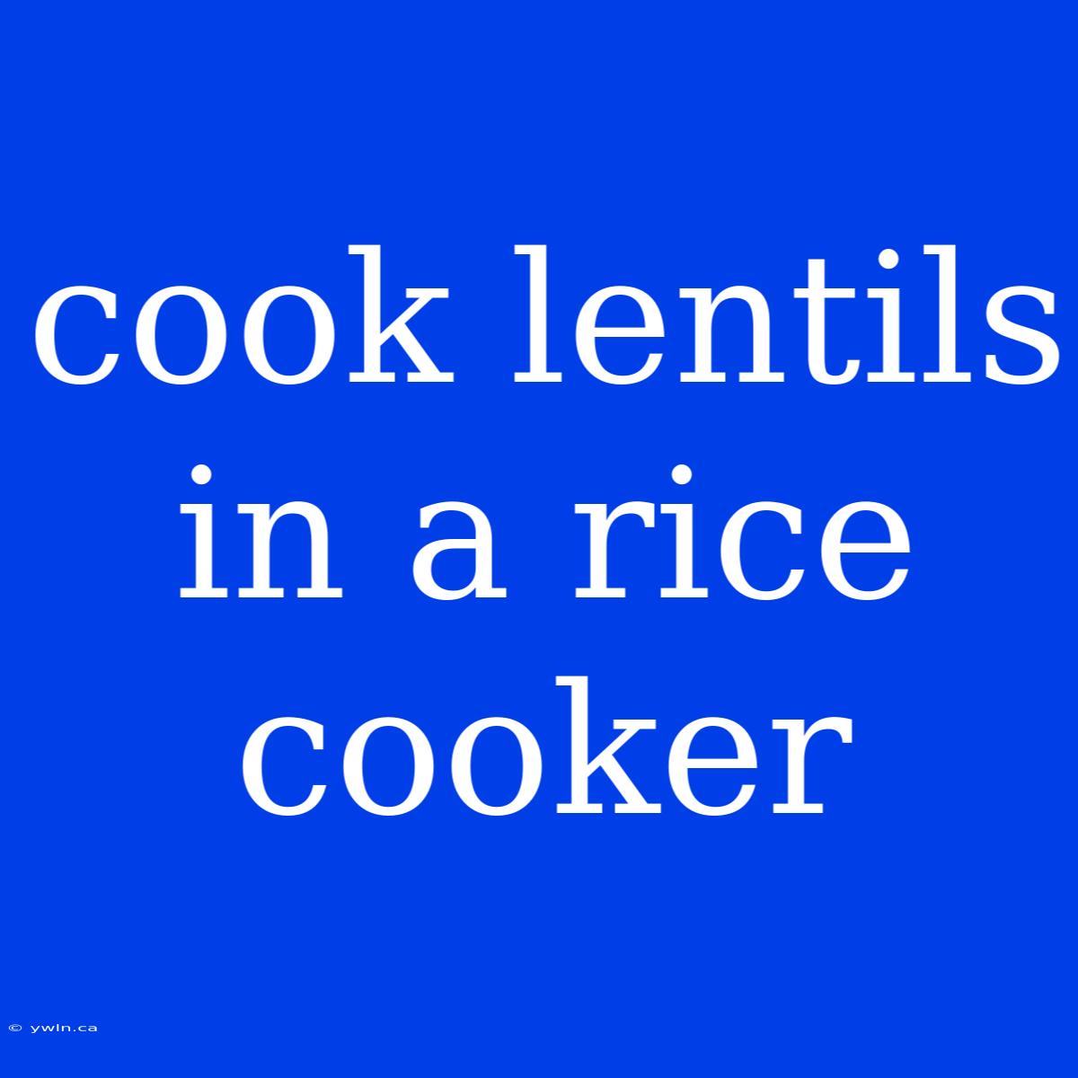 Cook Lentils In A Rice Cooker