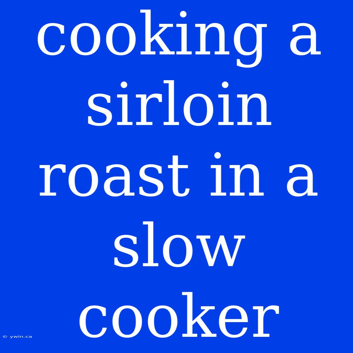 Cooking A Sirloin Roast In A Slow Cooker