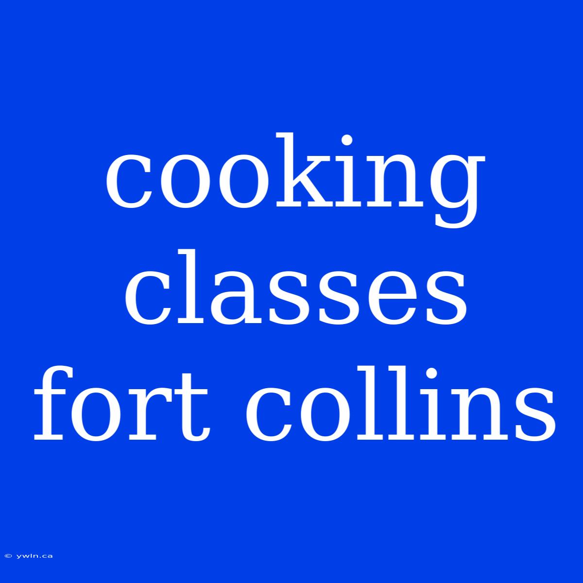 Cooking Classes Fort Collins