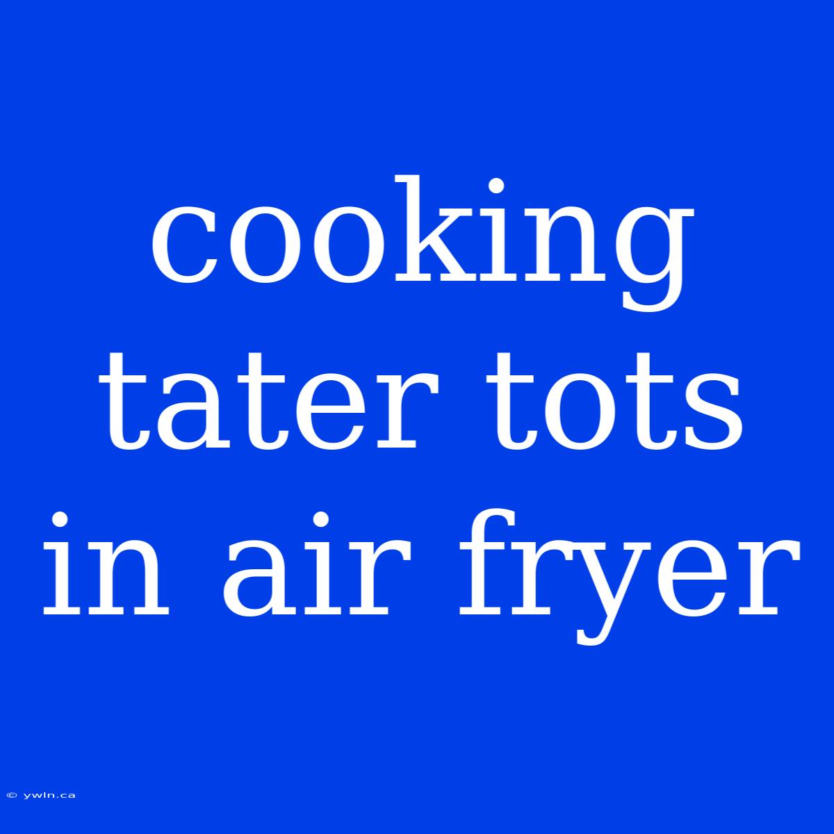 Cooking Tater Tots In Air Fryer