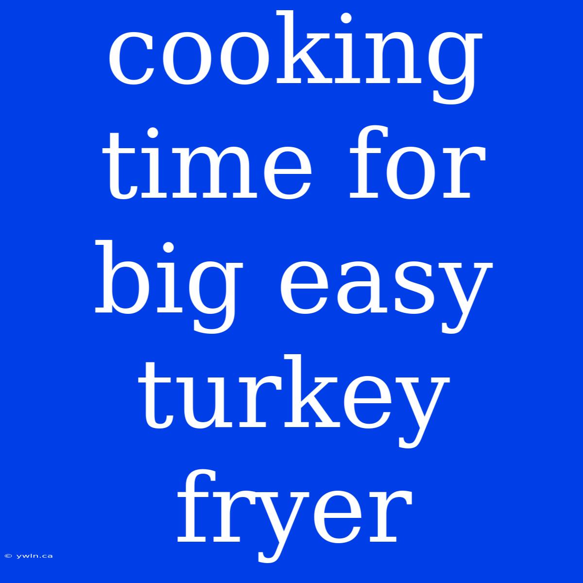 Cooking Time For Big Easy Turkey Fryer