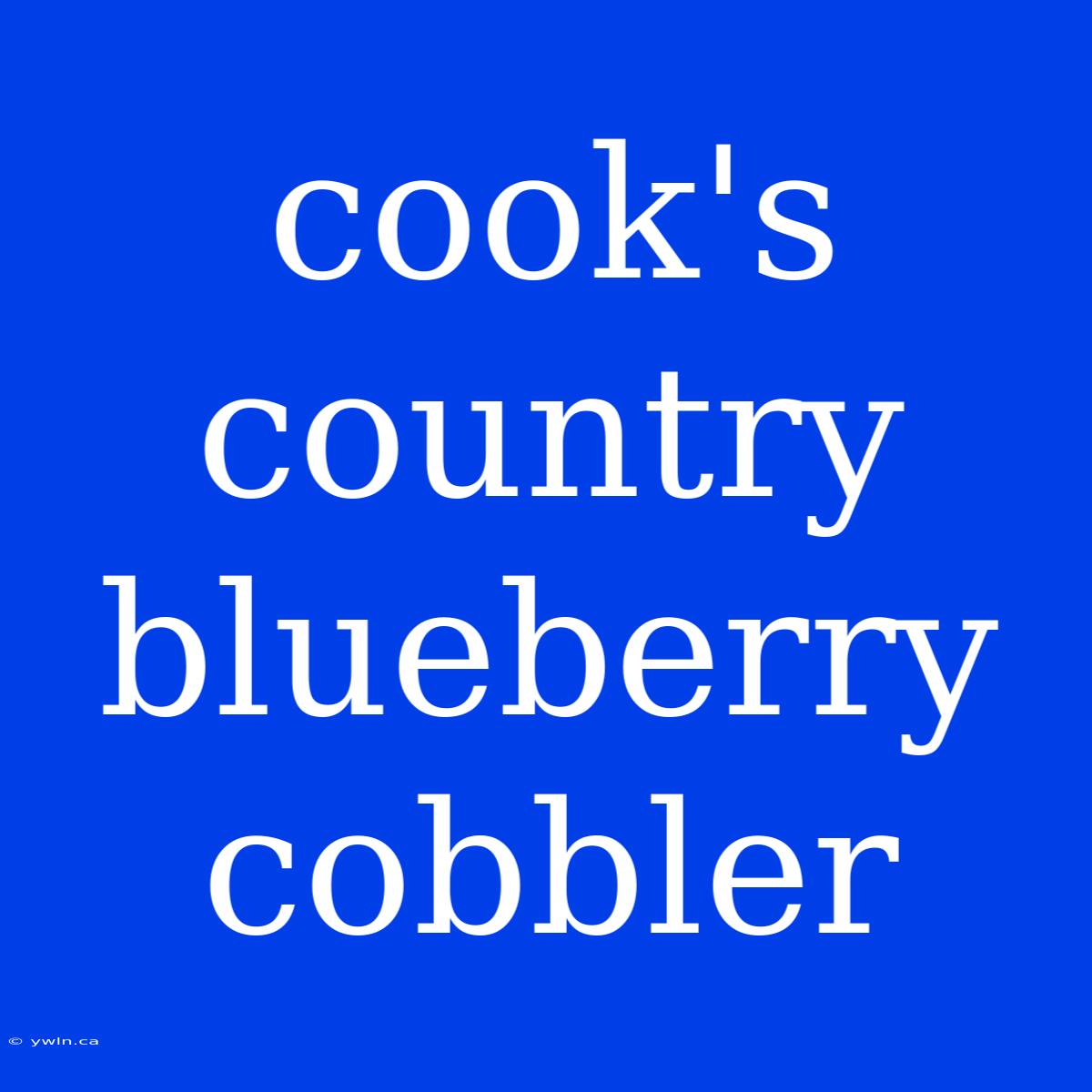 Cook's Country Blueberry Cobbler