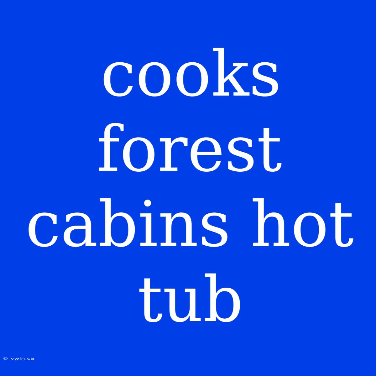 Cooks Forest Cabins Hot Tub