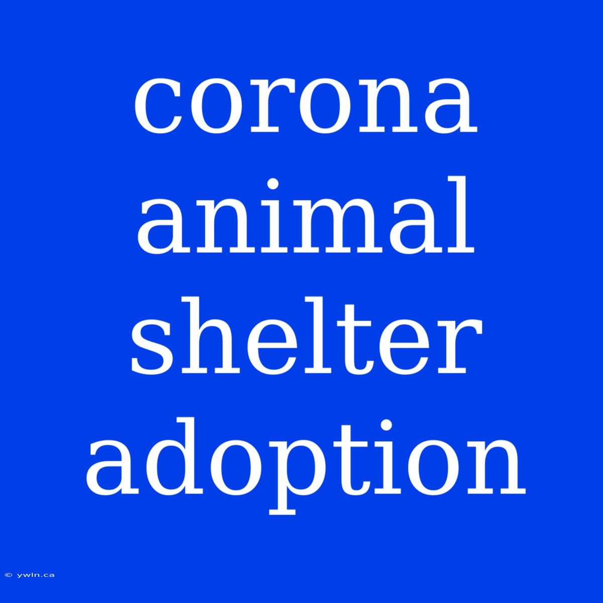 Corona Animal Shelter Adoption