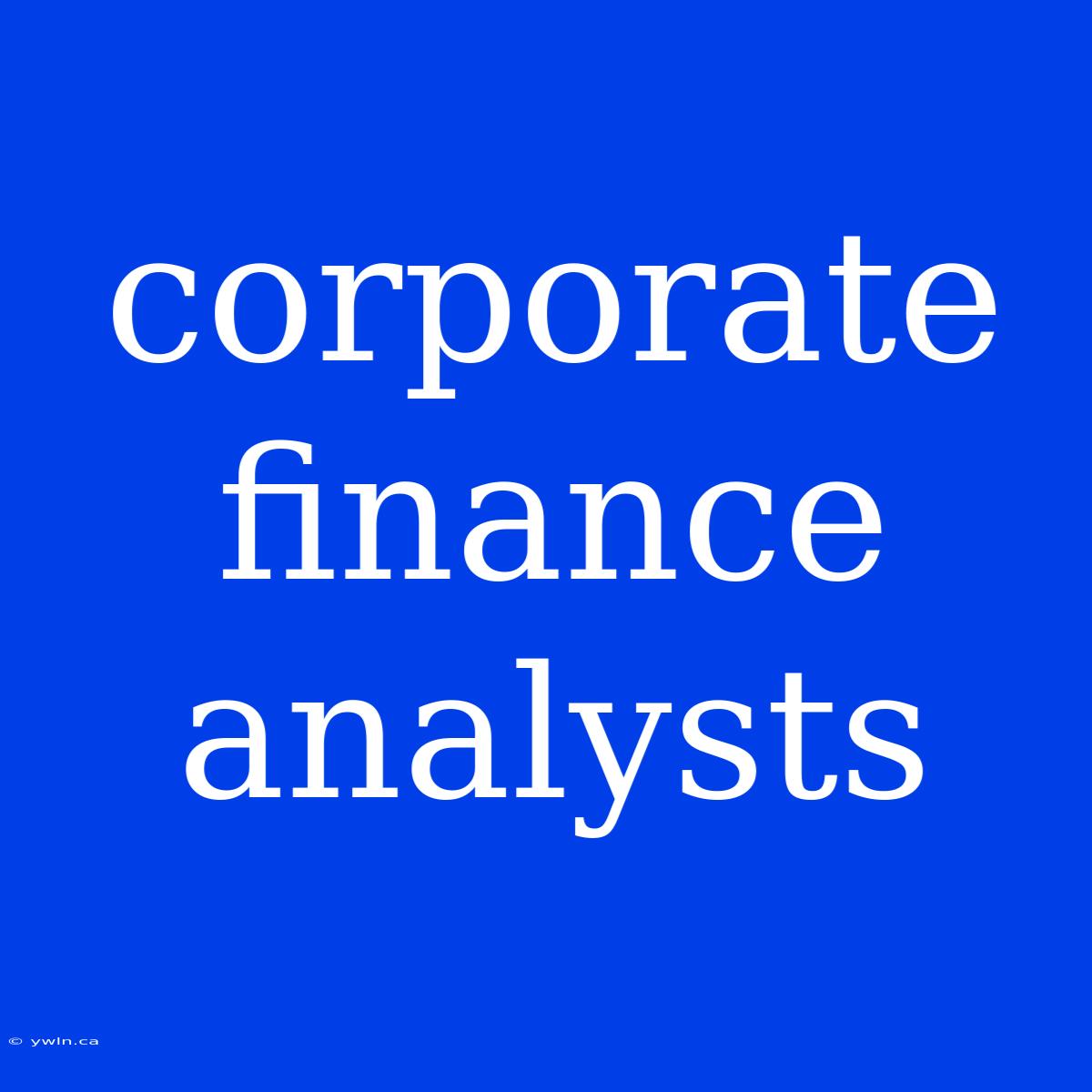 Corporate Finance Analysts