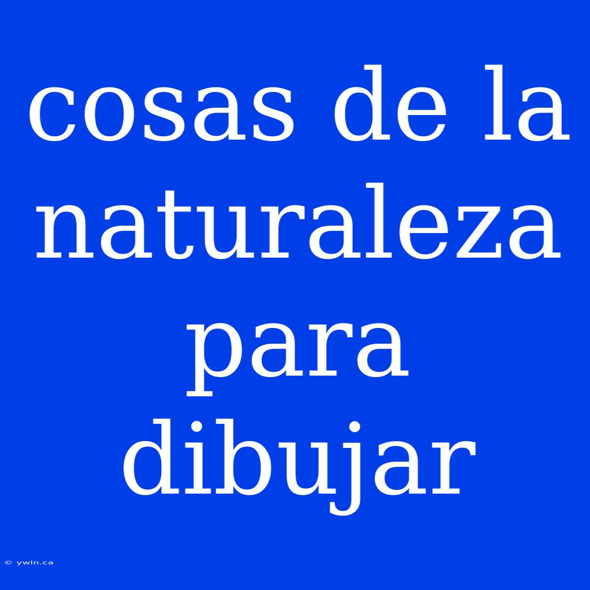 Cosas De La Naturaleza Para Dibujar