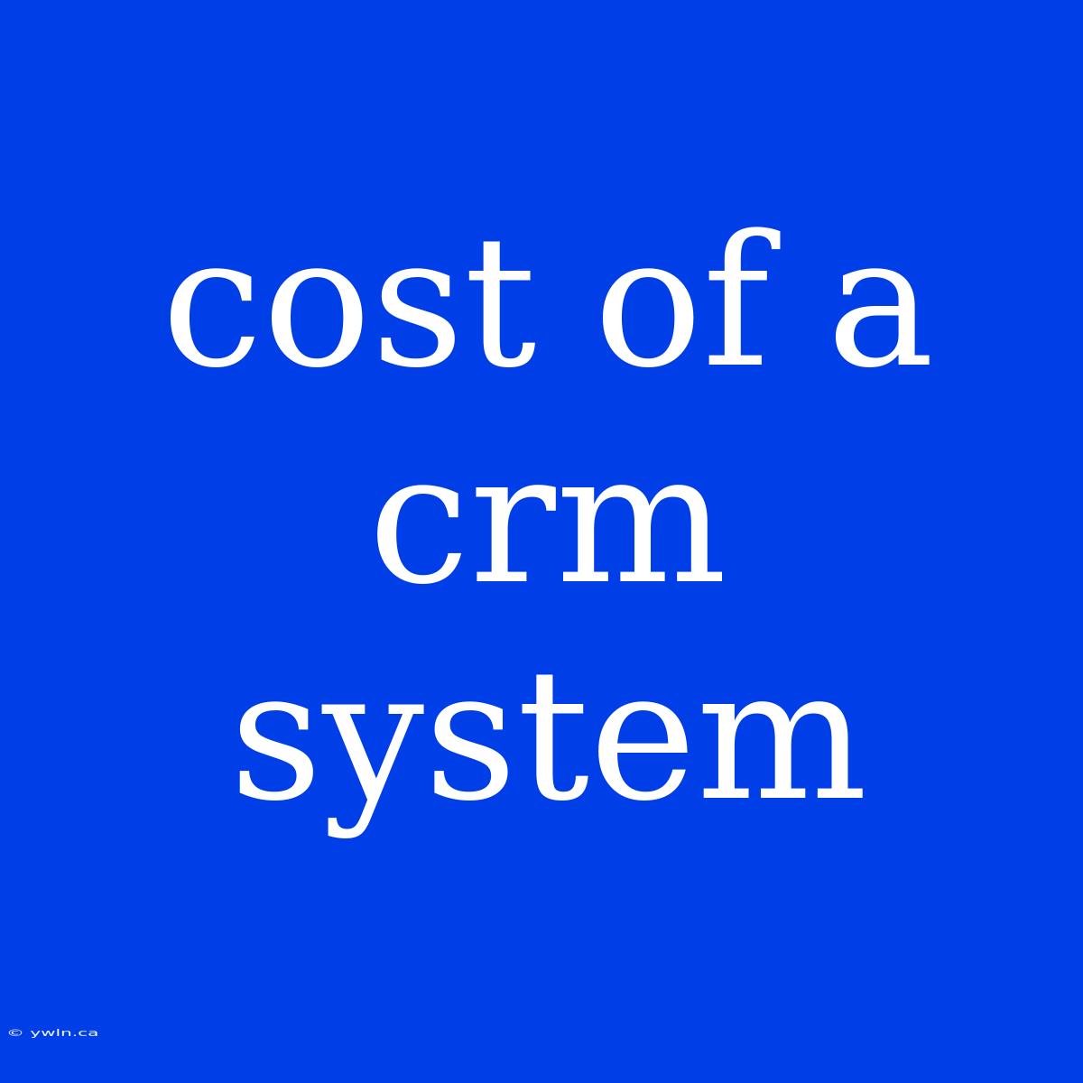 Cost Of A Crm System