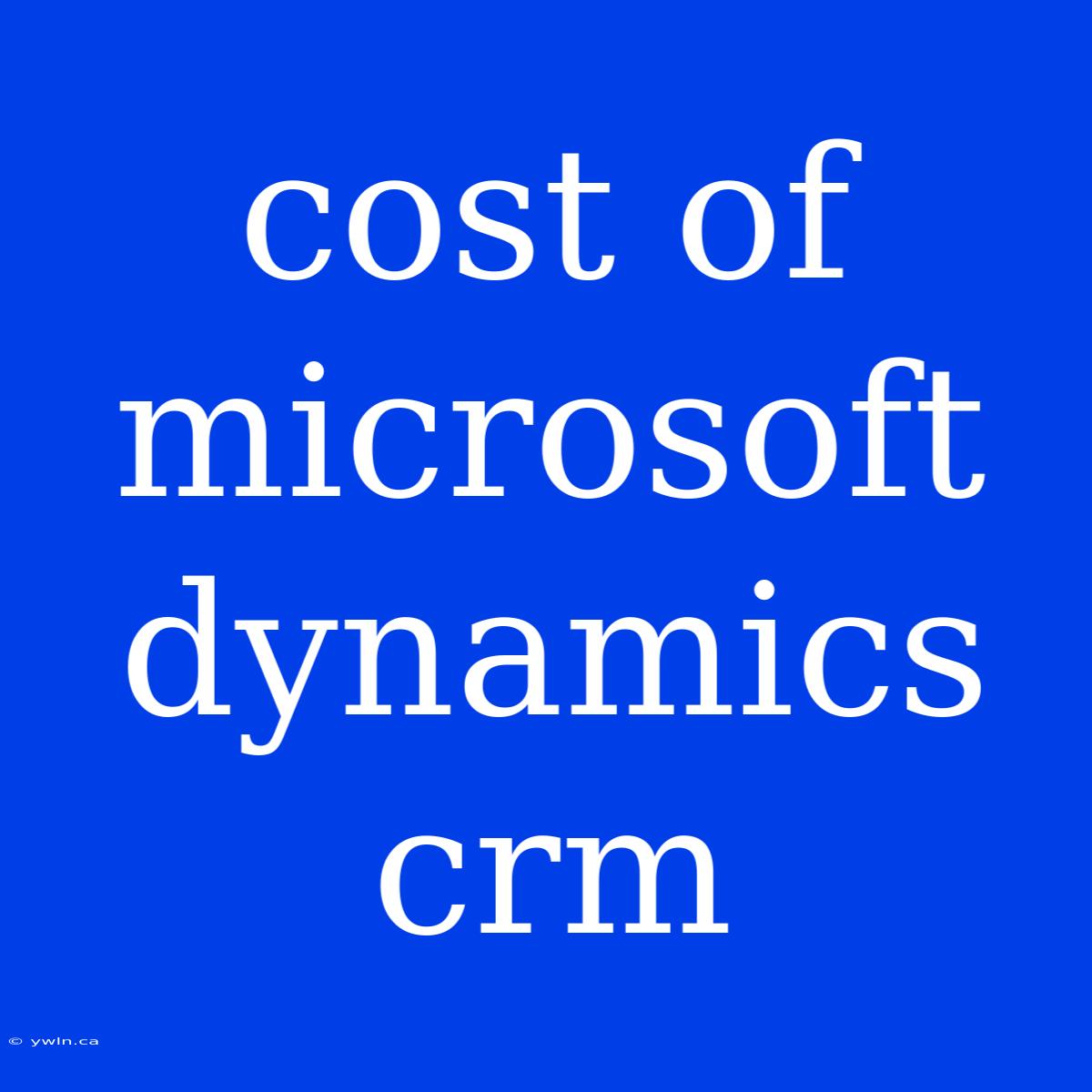 Cost Of Microsoft Dynamics Crm