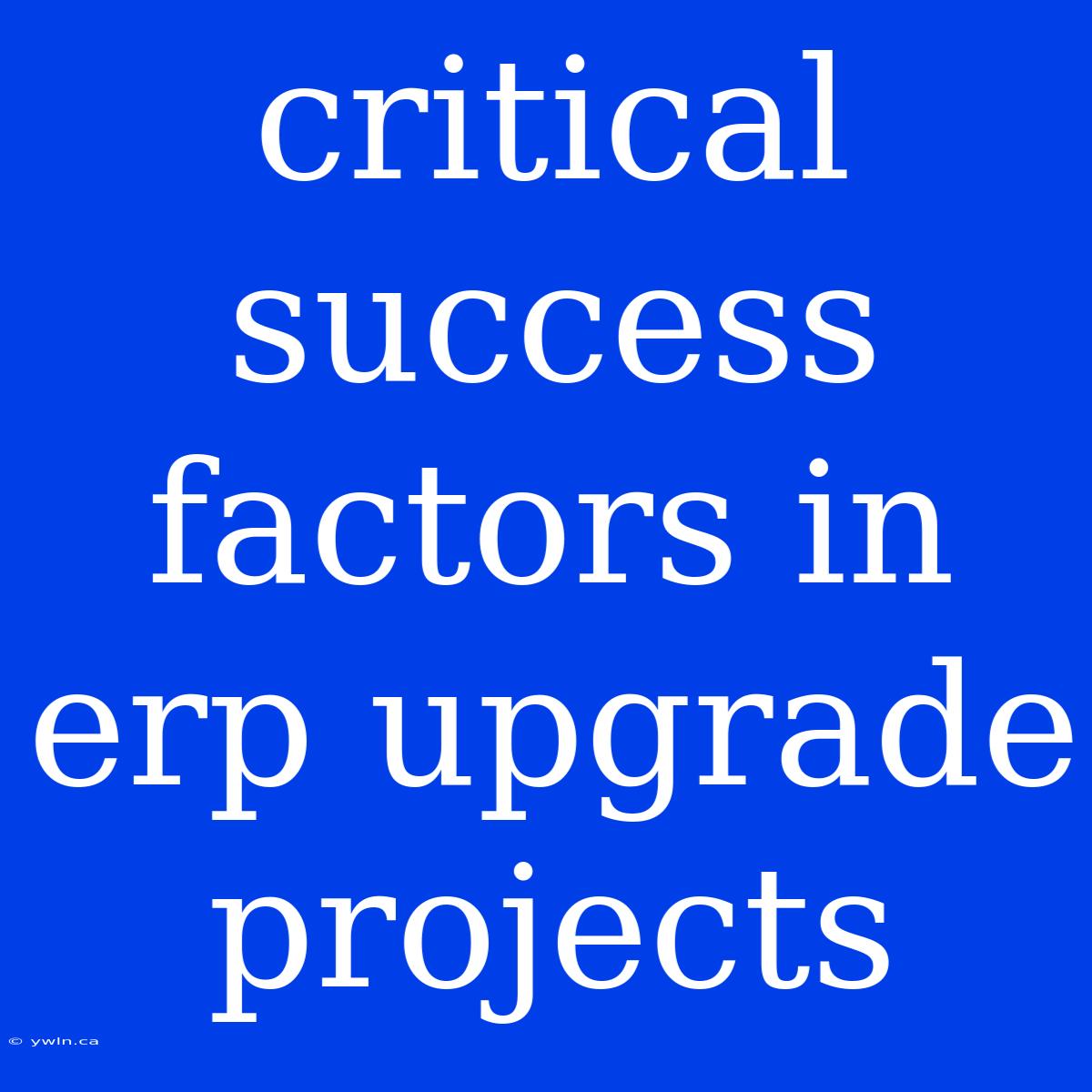 Critical Success Factors In Erp Upgrade Projects