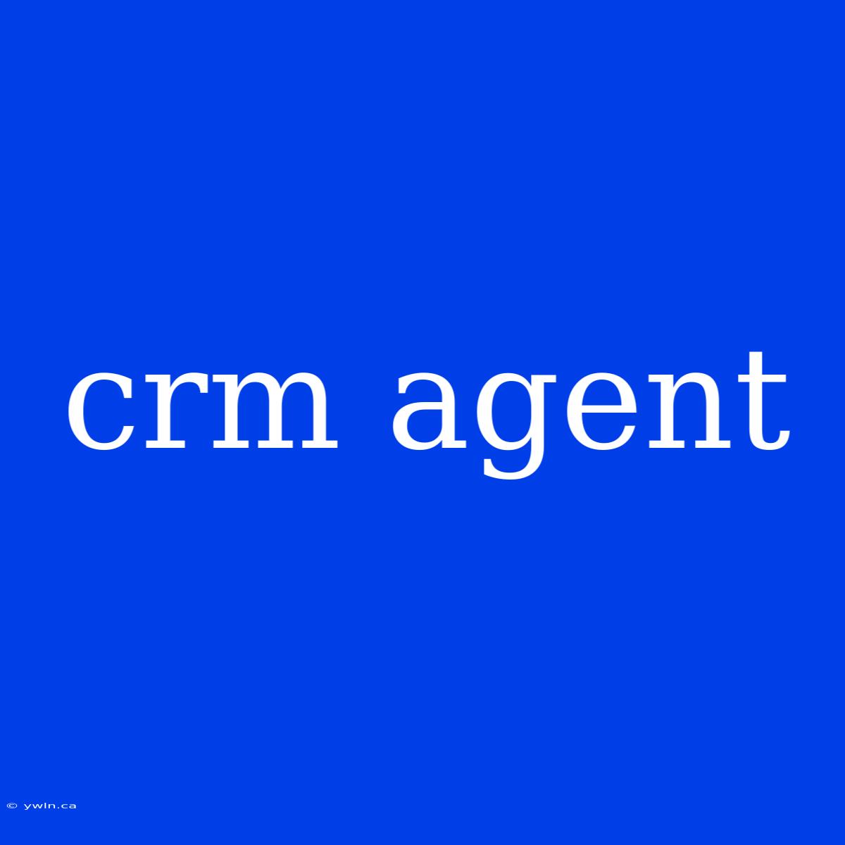 Crm Agent