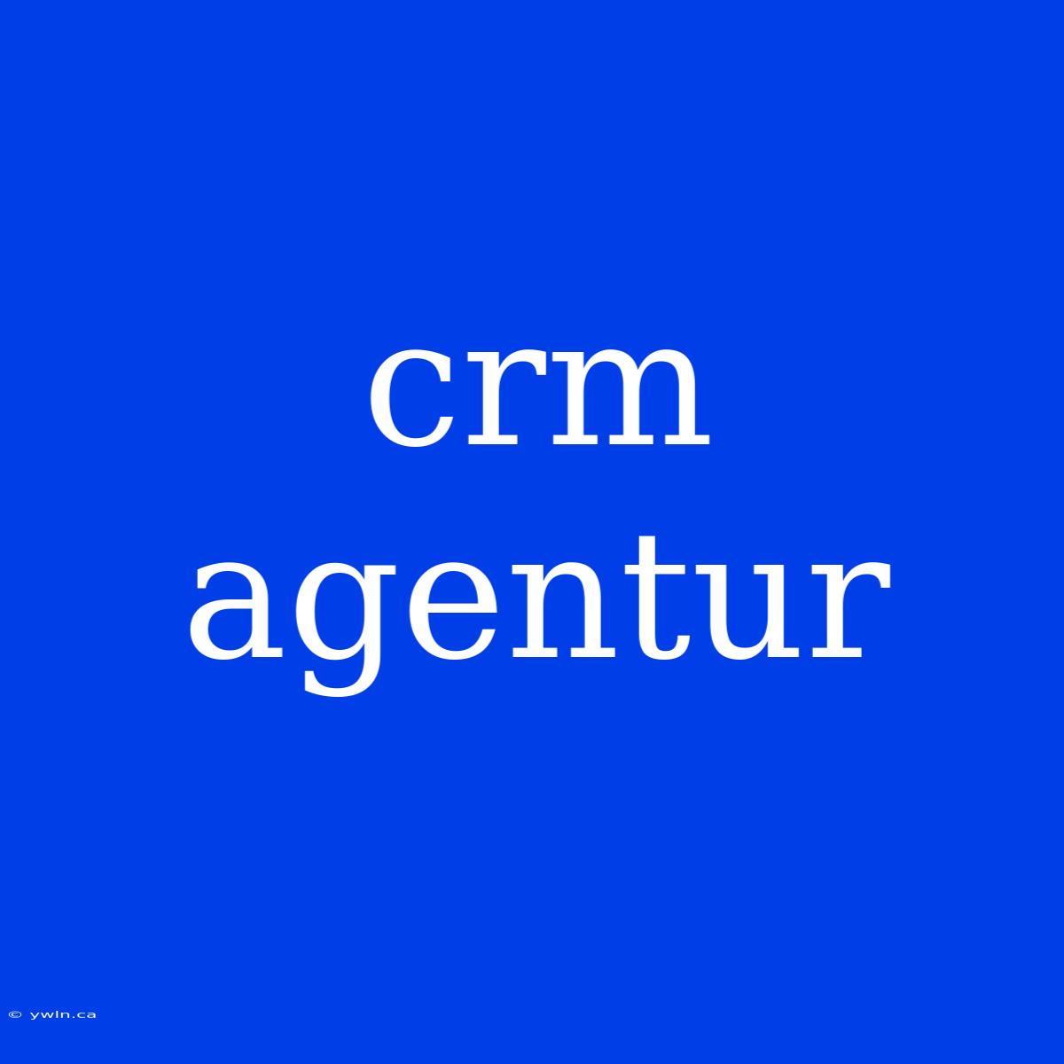 Crm Agentur