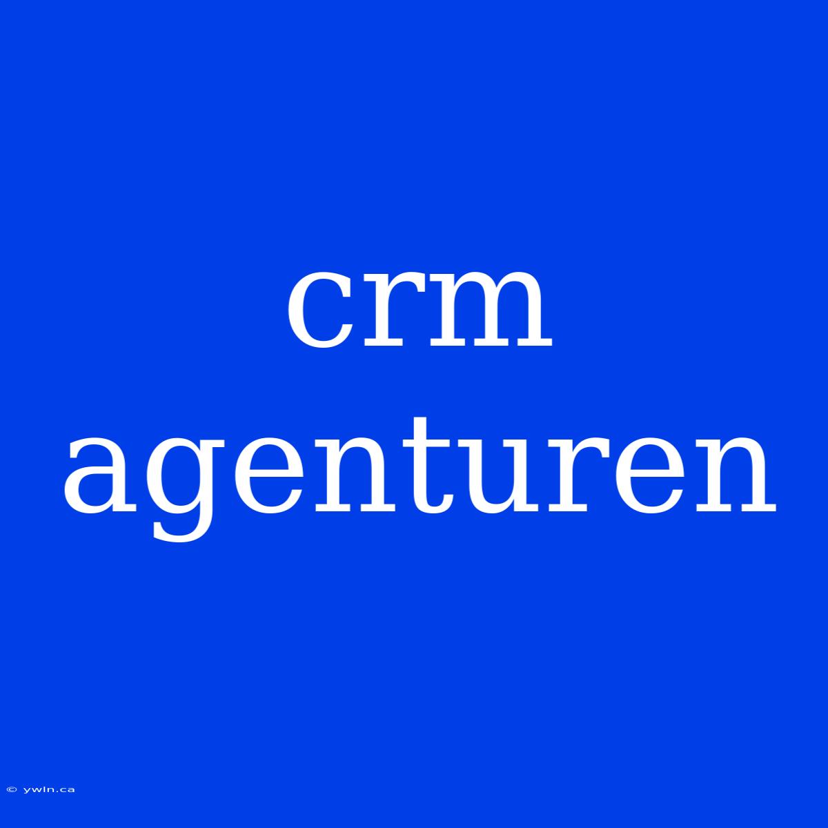 Crm Agenturen