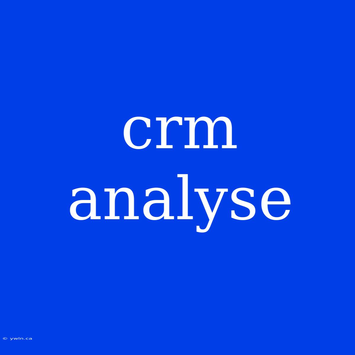 Crm Analyse