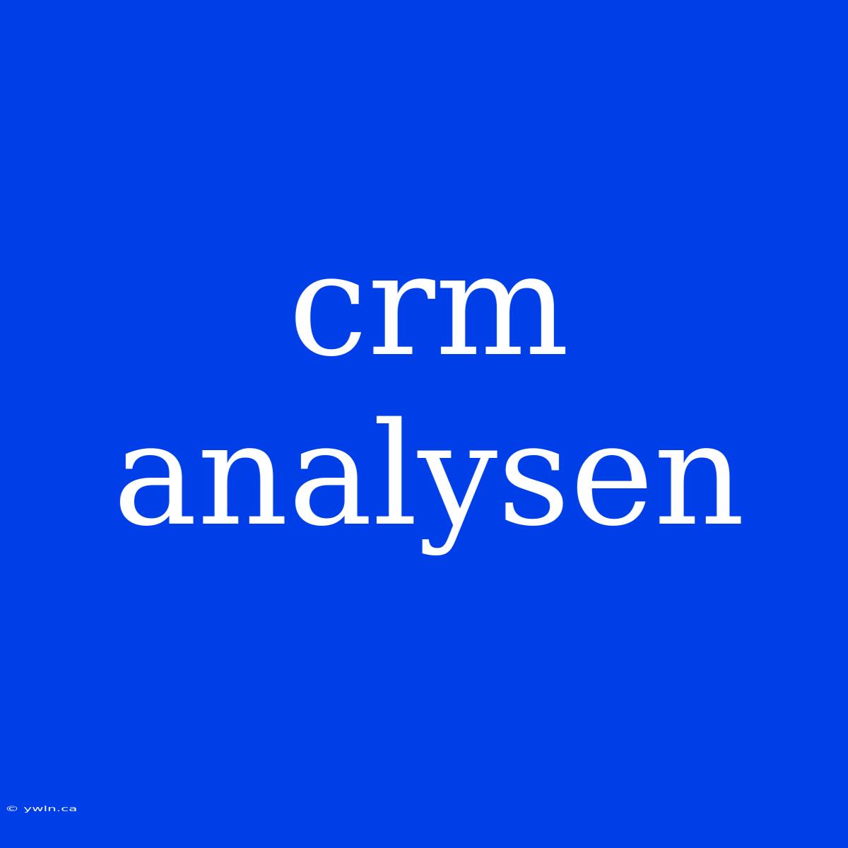 Crm Analysen