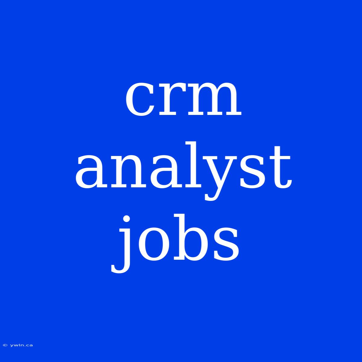 Crm Analyst Jobs