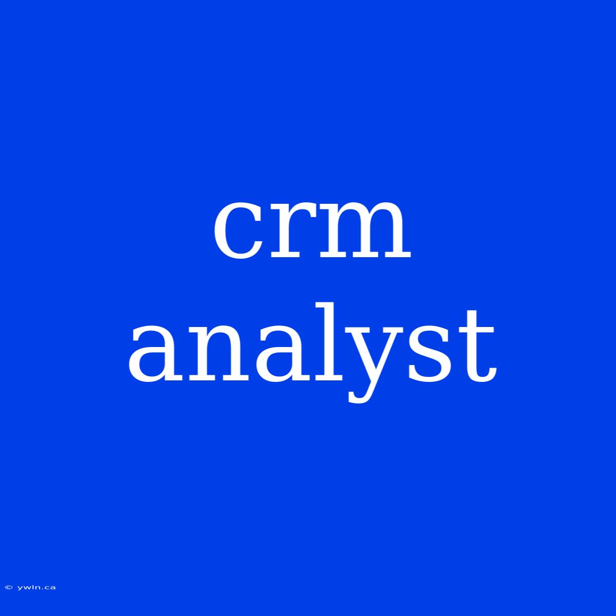 Crm Analyst