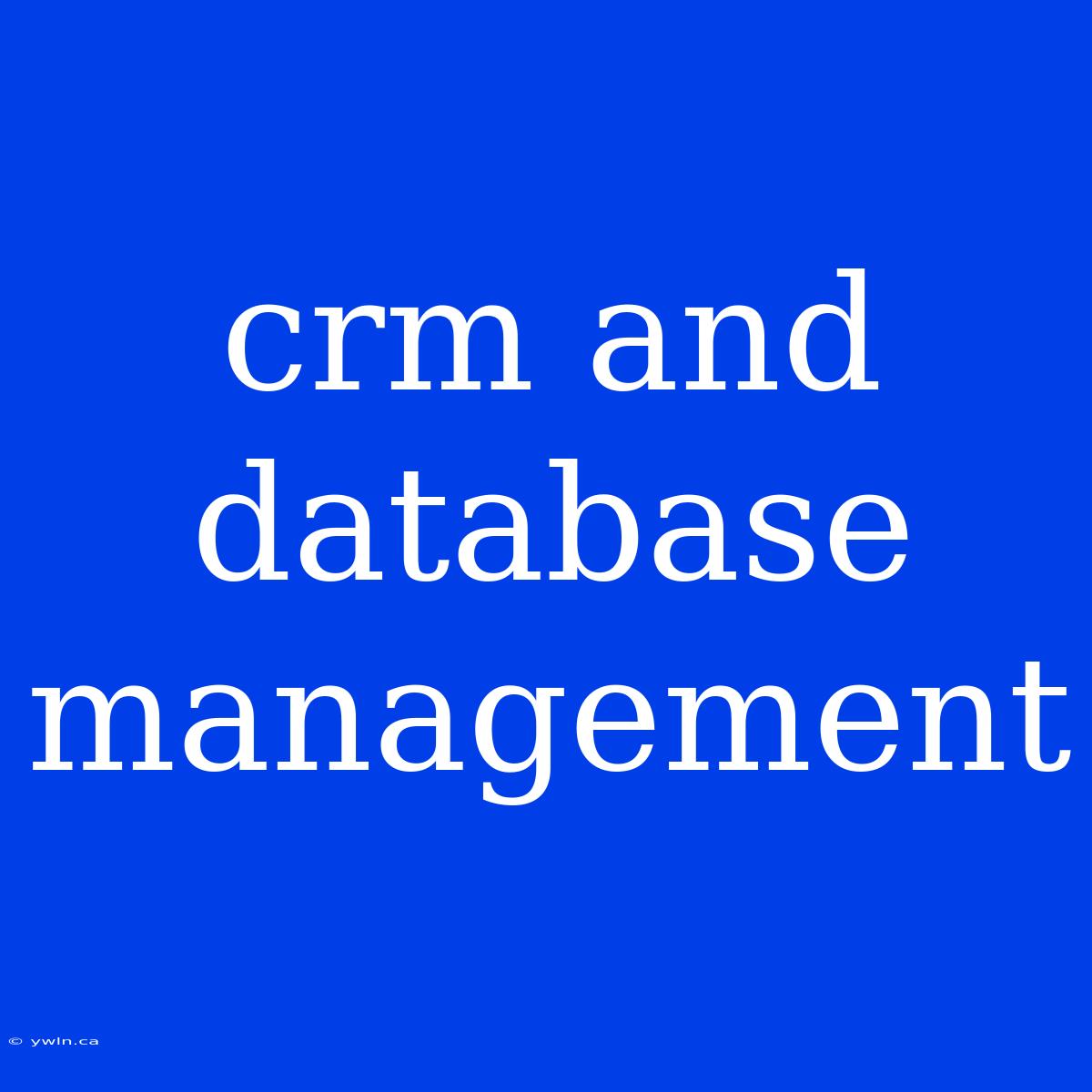 Crm And Database Management