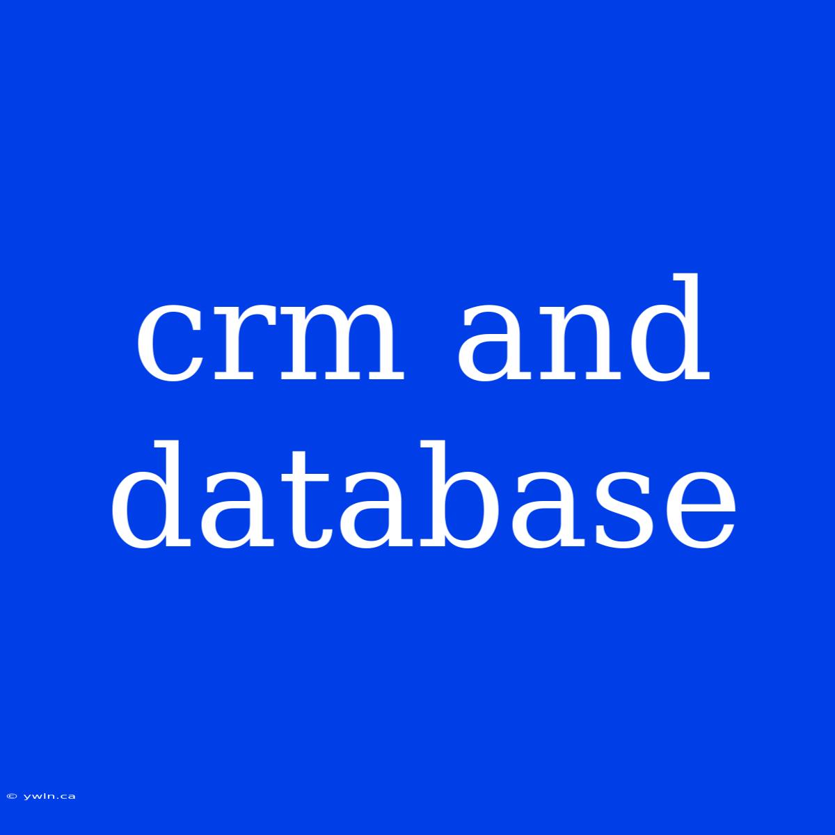 Crm And Database