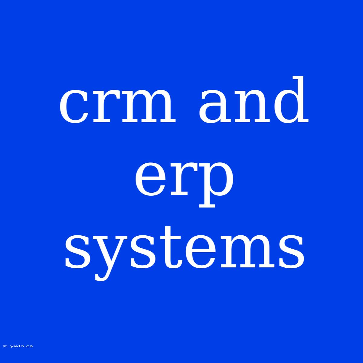 Crm And Erp Systems